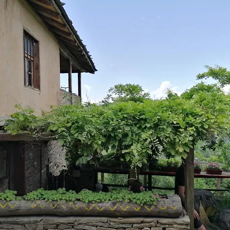 Dimmi House Leshten
