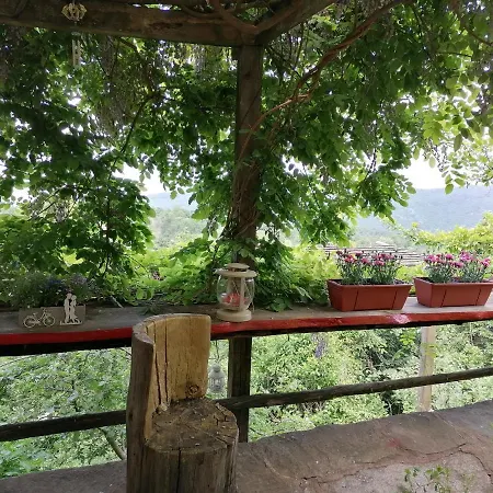 Guest house Dimmi House Leshten