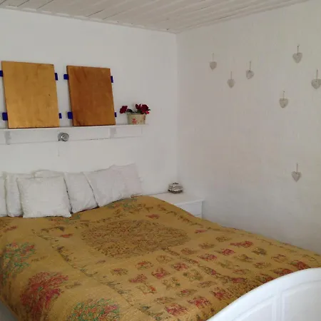 Dimmi House Guest house