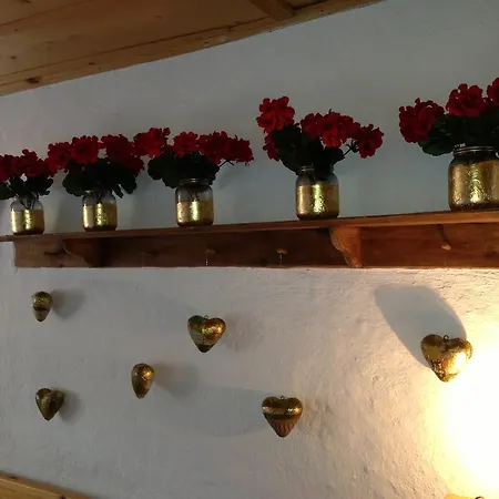 Guest house Dimmi House *