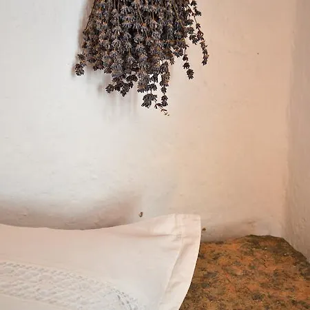 Dimmi House Leshten