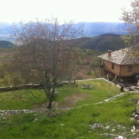 Dimmi House Guest house *