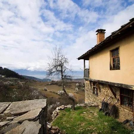 Guest house Dimmi House *
